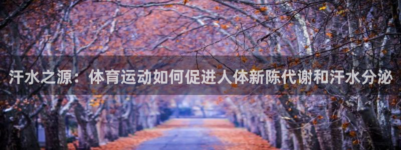 三亿体育
