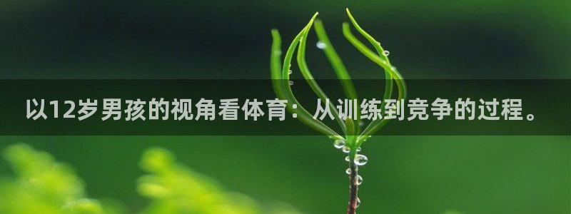 三亿体育网页版：以12岁男孩的视角看体育：从训练到竞争的过程。