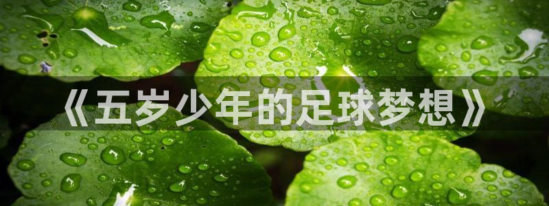 三亿体育网页版