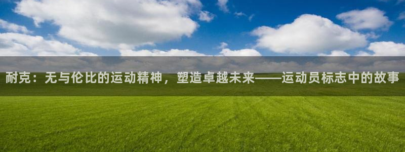 三亿体育网