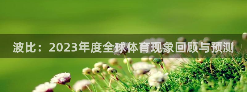 三亿体育：波比：2023年度全球体育现象回顾与预测