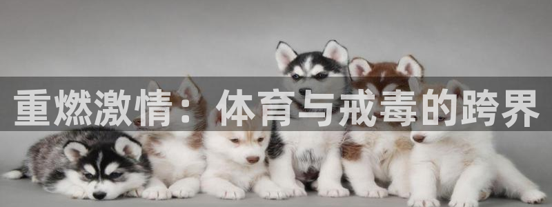 三亿体育网：重燃激情：体育与戒毒的跨界